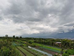 -翠田Green Field Kitchen