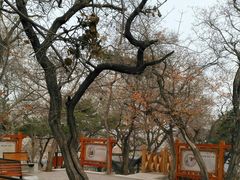 -长辛店二七公园