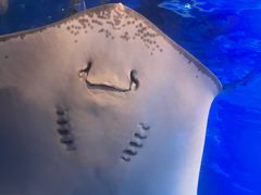 -太平洋海底世界