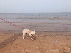 -东戴河风景区-止锚湾