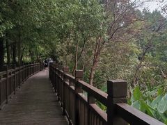 -东湖落雁景区
