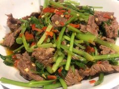 香菜炒牛肉-壹盏灯(惠农店)