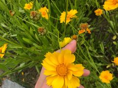 -白塘生态植物园