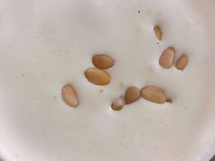 松仁红豆豆-沪上阿姨鲜果茶(华新大街店)