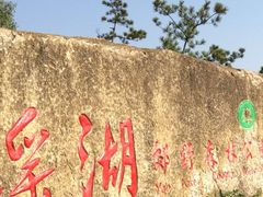 image-瑶湖郊野森林公园