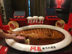 -阿五黄河大鲤鱼(纬三路店)