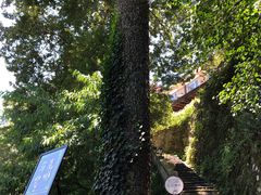 -马克咖啡The Moganshan Lodge