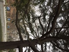 iphone_upload_pic-青岛德国总督楼旧址博物馆