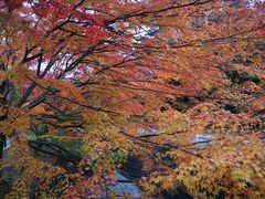 -无印良品(京都BAL店)