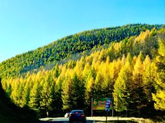 -塞罕坝国家级自然保护区