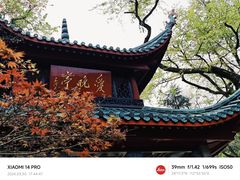 -橘子洲景区
