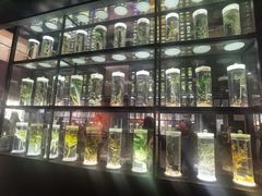 -广东中医药博物馆