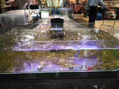 水产区-盒马鲜生(悠方店)
