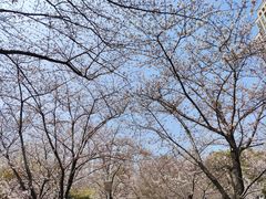 -堤角公园