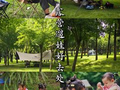 -洨河生态公园