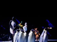 -珠海横琴长隆《卡卡虎奇遇记》