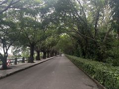 -大湾区中央湿地公园