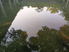 -杭州植物园