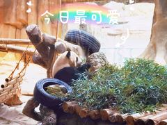 -常州淹城野生动物世界