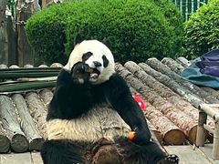 -大连森林动物园