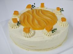 -威利旺卡烘焙西点蛋糕培训(朝阳校区)