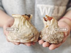 -白玉兰食品(汇联商厦店)