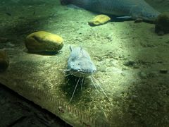 -珠海长隆海洋王国