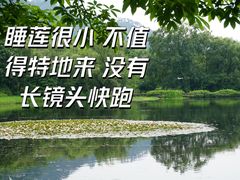-茅家埠