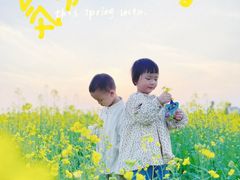 -桑洲油菜花景区