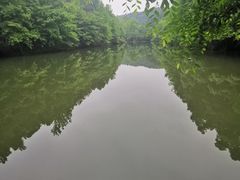 -青龙山国家森林公园