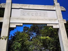 -紫金山山顶公园