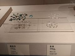 -张掖市博物馆