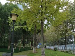 -重庆市江北嘴中央商务区中央公园