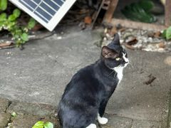 -广州市紫泥堂文化创意园景区
