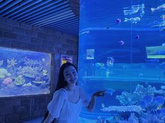 -左海海底世界