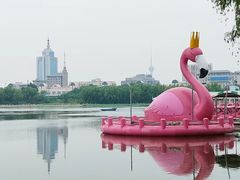 -莲花池公园