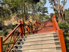 -深圳国际园林花卉博览园