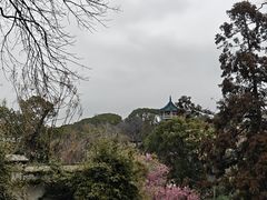 -无锡梅园公园