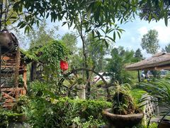 -青城甲(青城山店)