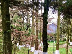 -莫干山风景区