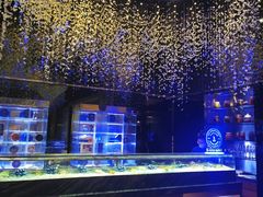 -AZUR聚(香格里拉饭店)