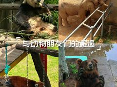 -西霞口神雕山野生动物世界