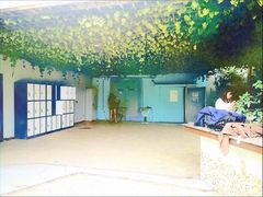 -汪说喵讲宠物乐园宠物酒店(红星美凯龙店)