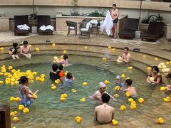 -苏州湾·王焰温泉