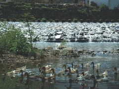 -鹿亭中村