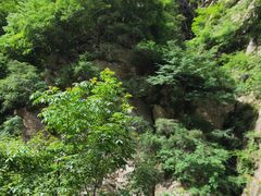 -陕西省红河谷森林公园-游客中心