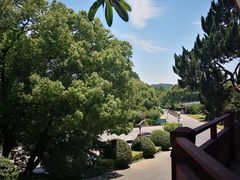 -上海市保健医疗中心(华东疗养院)