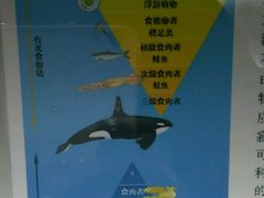 -同济大学四平路校区深海探索馆