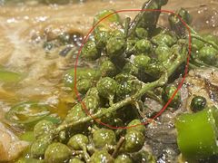 -探鱼·鲜青椒爽麻烤鱼(三水广场店)