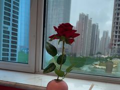 -红顶食府(滨湖九号店)